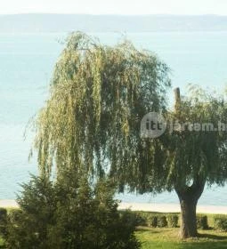 Erzsébet Szálloda Siófok