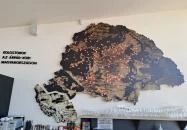 Aranymonostor Látogatóközpont Bugac