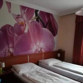 Europa Hotel, Nyíregyháza - Szobák