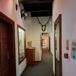 K?kapu Vadászkastély és Hotel & Apartments, Nagyhuta - Belső