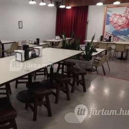 101 Tigris Noodle House Budapest - Belső