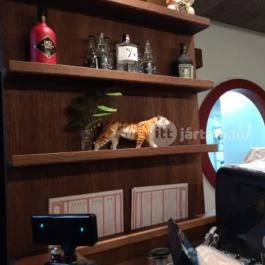 101 Tigris Noodle House Budapest - Belső