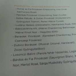 4 Évszak Palóc Bistorant, Mátrafüred - Étlap/itallap