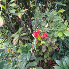 '56-os emlékmű Budapest - Egyéb