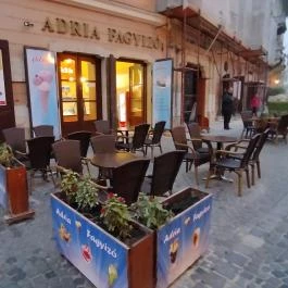 Adria Fagyizó, Székesfehérvár - Egyéb