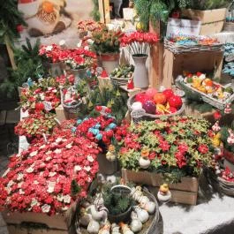 Advent Bazilika Budapest - Egyéb