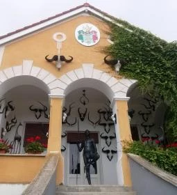 Afrika Múzeum és Állatkert