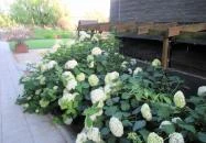 aHely Étterem Budapest