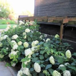 aHely Étterem Budapest - Külső kép