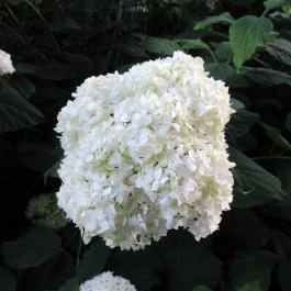 aHely Étterem Budapest - Egyéb