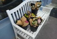 Aladár Cafe & Deli Budapest