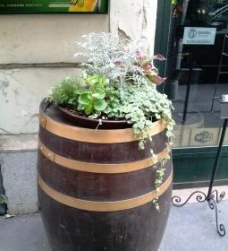 Noor Lounge & Restaurant