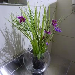 Alba Regia Vendéglő Budapest - Étlap/itallap