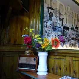 Alba Regia Vendéglő Budapest - Belső