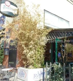 Alba Regia Vendéglő