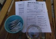 Aldente on the Road Budapest