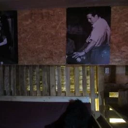 Alibi Gin Bár & Kávézó, Szeged - Egyéb