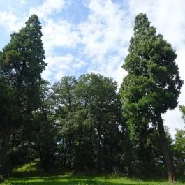 Alsópere Park Hotel Olaszfalu - Környék