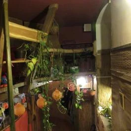 Altair Teaház Budapest - Belső