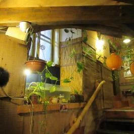 Altair Teaház Budapest - Belső