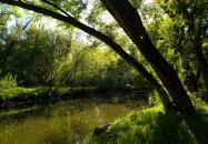 Által-ér torkolat Tata