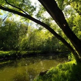 Által-ér torkolat Tata - Egyéb