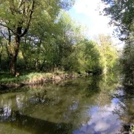 Által-ér torkolat Tata - Egyéb