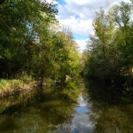 Által-ér torkolat Tata - Egyéb