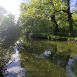 Által-ér torkolat Tata - Egyéb