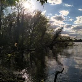 Által-ér torkolat Tata - Egyéb
