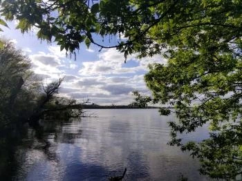 Által-ér torkolat Tata