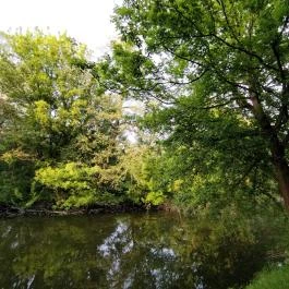 Által-ér torkolat Tata - Egyéb