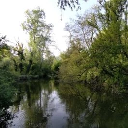 Által-ér torkolat Tata - Egyéb