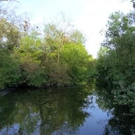 Által-ér torkolat Tata - Egyéb