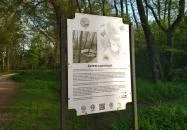 Által-ér torkolat Tata