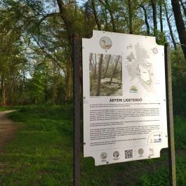 Által-ér torkolat Tata - Egyéb