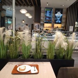 Amber's Reggeli & Brunch- Allee Budapest - Belső