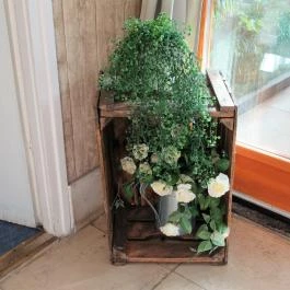 Ambrózia Bisztró Noszvaj - Egyéb