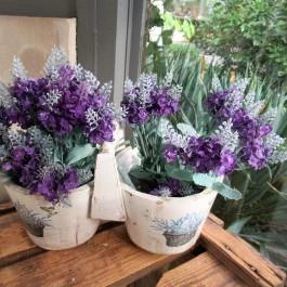 Ambrózia Bisztró Noszvaj - Egyéb