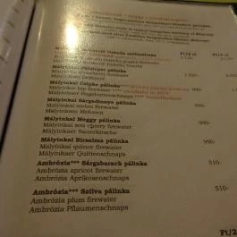 Ambrózia Étterem és Panzió Kazincbarcika - Étel/ital