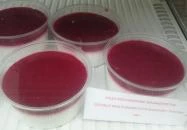 Andalgo Deli Budapest