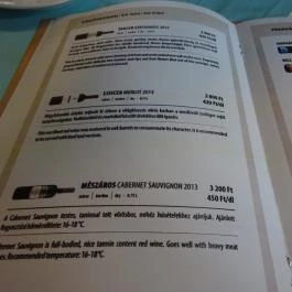 Angelino Pizzéria & Kisvendéglő Budapest - Étlap/itallap