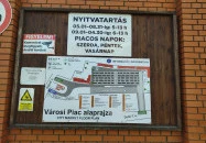 Anna Falatozó Makó