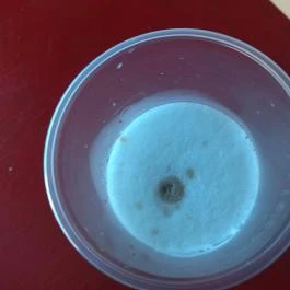 Anna Falatozó, Makó - Étel/ital