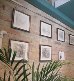 Anton Coffee & Bakery