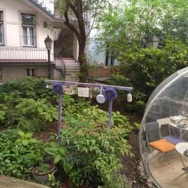 Anyám Szerint, Budapest - Egyéb