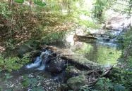 Apátkúti-völgy Visegrád