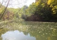 Apátkúti-völgy Visegrád