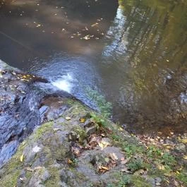 Apátkúti-völgy, Visegrád - Egyéb