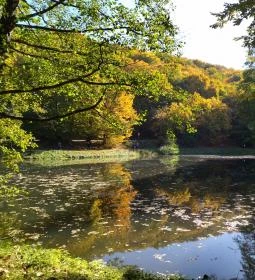 23. legjobb látnivaló: Apátkúti-völgy